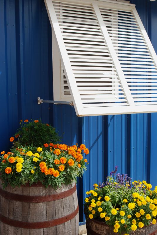 Shutters Replacement in Alpharetta, GA