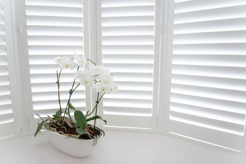 Wood Shutters Installation in Olathe, KS